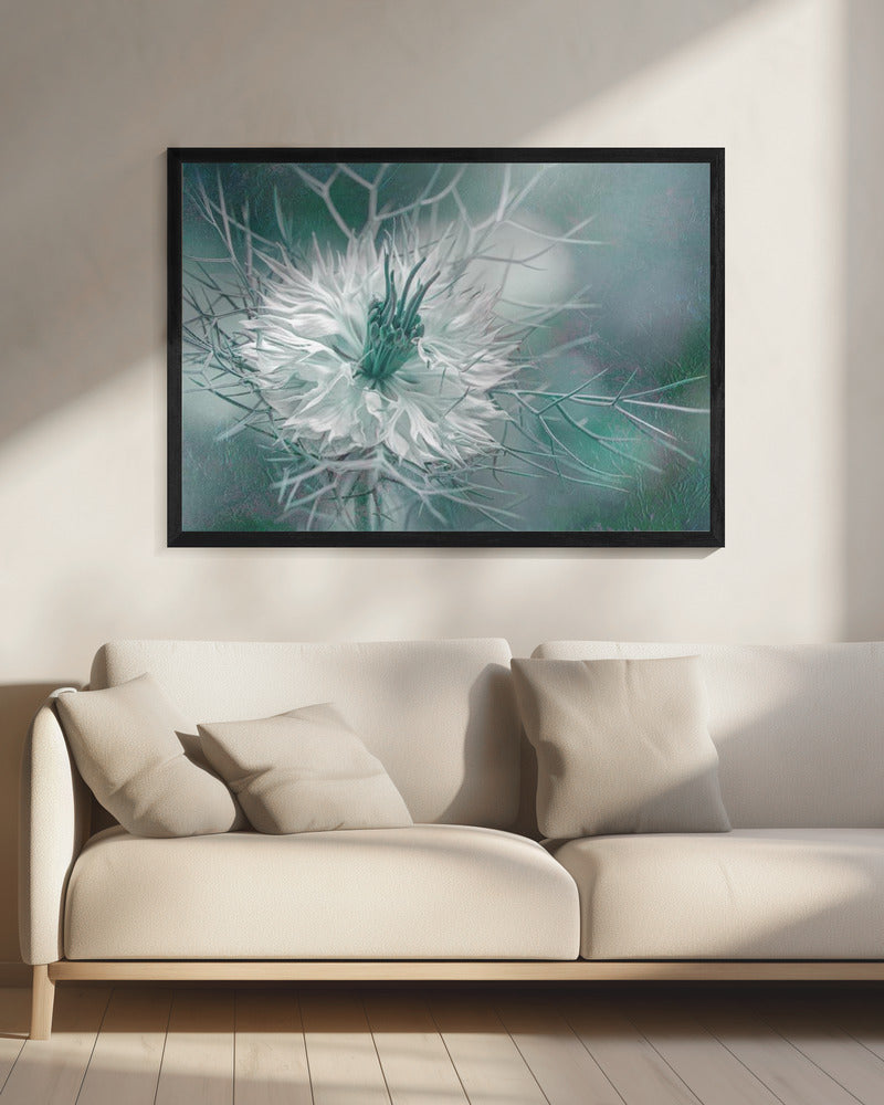 Afterglow | Canvas
