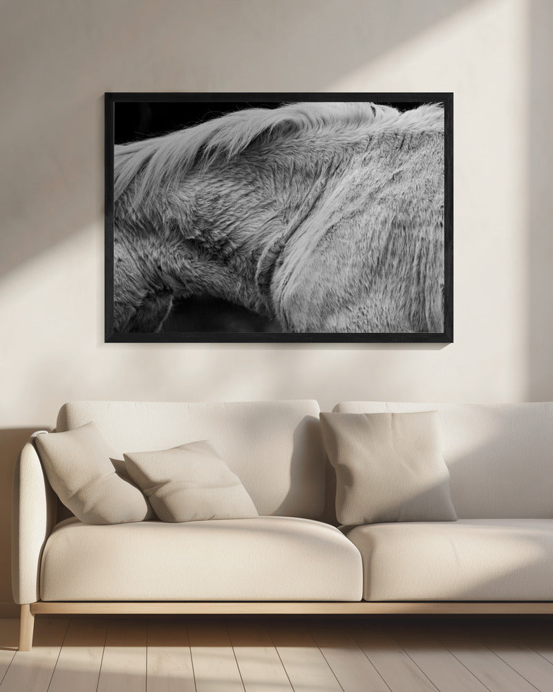 Pferd II | Leinwand