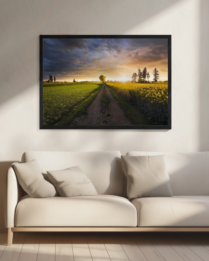 Sommerwiese | Leinwand