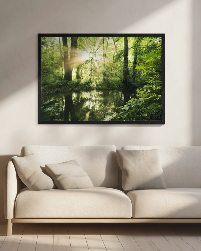 Grüner Park | Leinwand