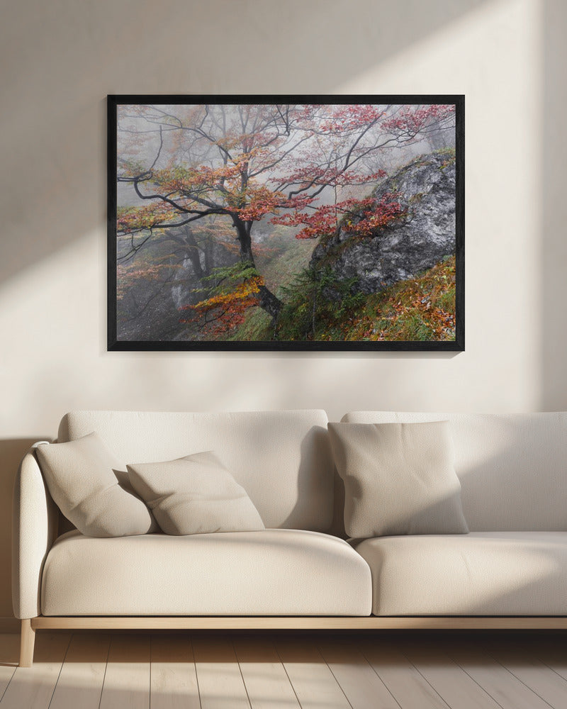 Nebliger Wald | Leinwand