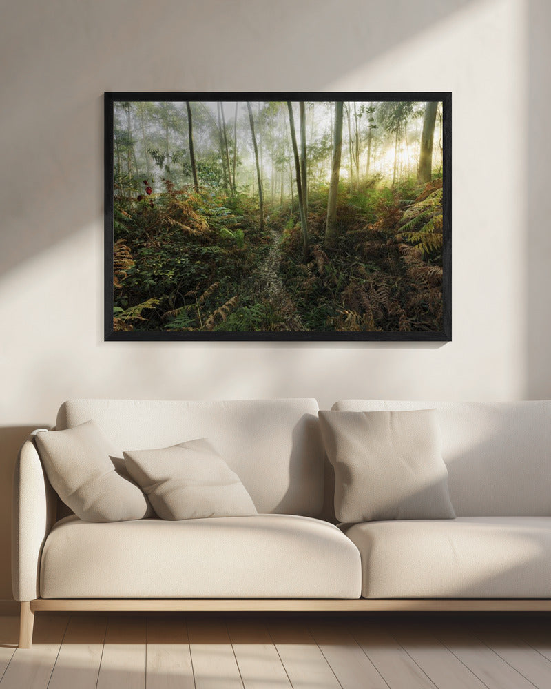 Nebliger Wald II | Leinwand