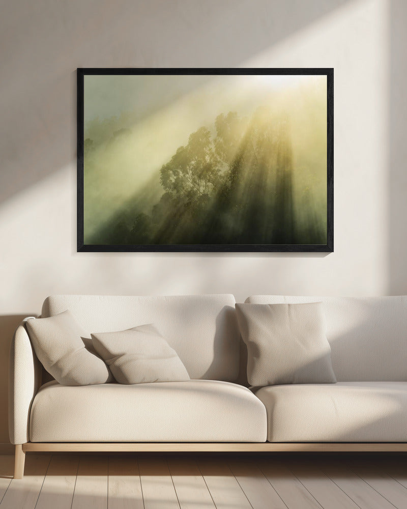 Nebliger Wald III | Leinwand