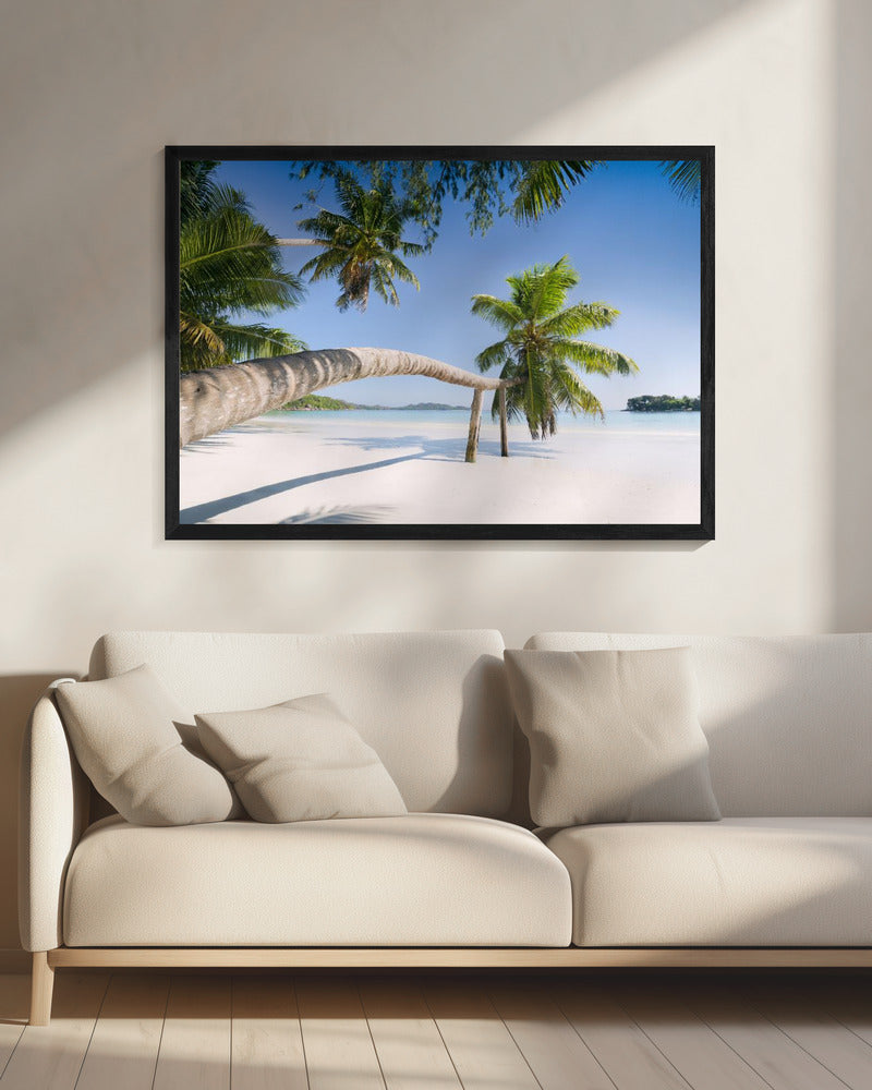 Tropische Palme | Leinwand