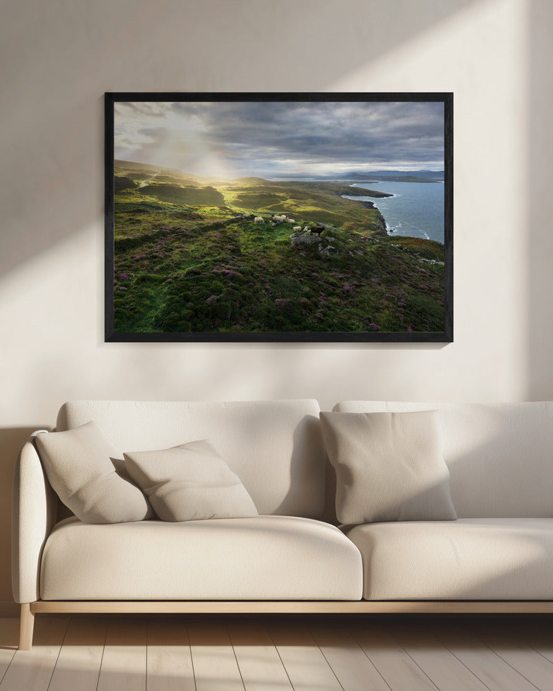 Guten Morgen Irland | Leinwand