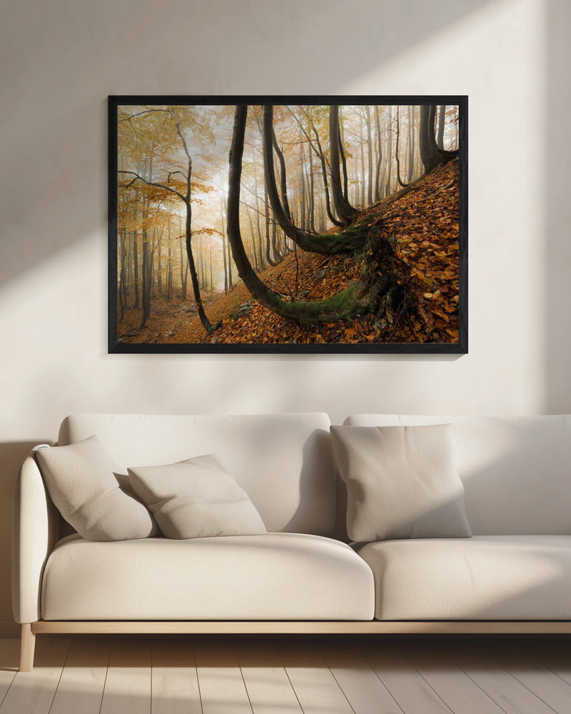 Mystischer Herbstwald | Leinwand