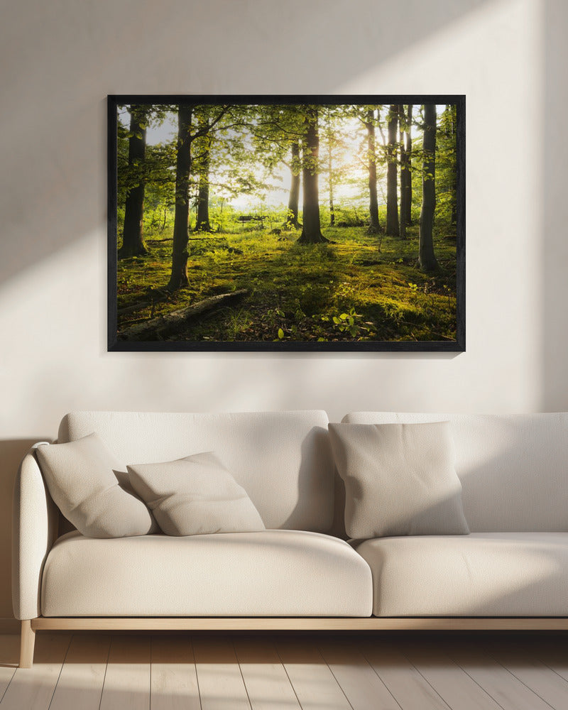 Sommer im Wald | Leinwand