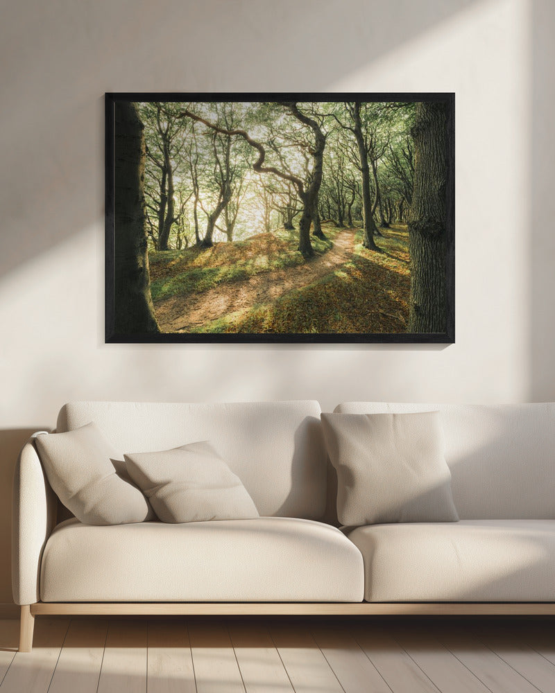 Magisches Buchenholz | Leinwand
