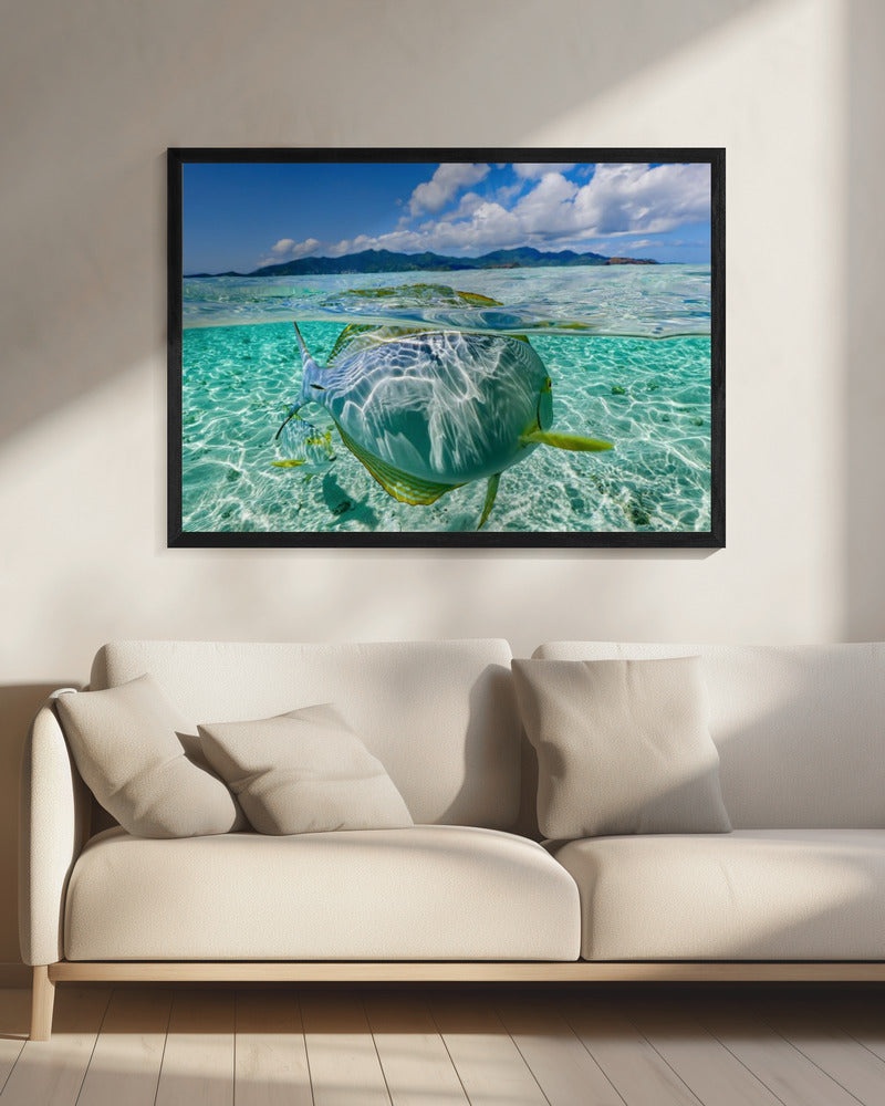 Swimming pool | Canvas