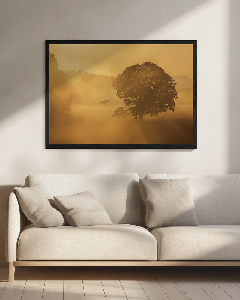 autumn morning | Canvas