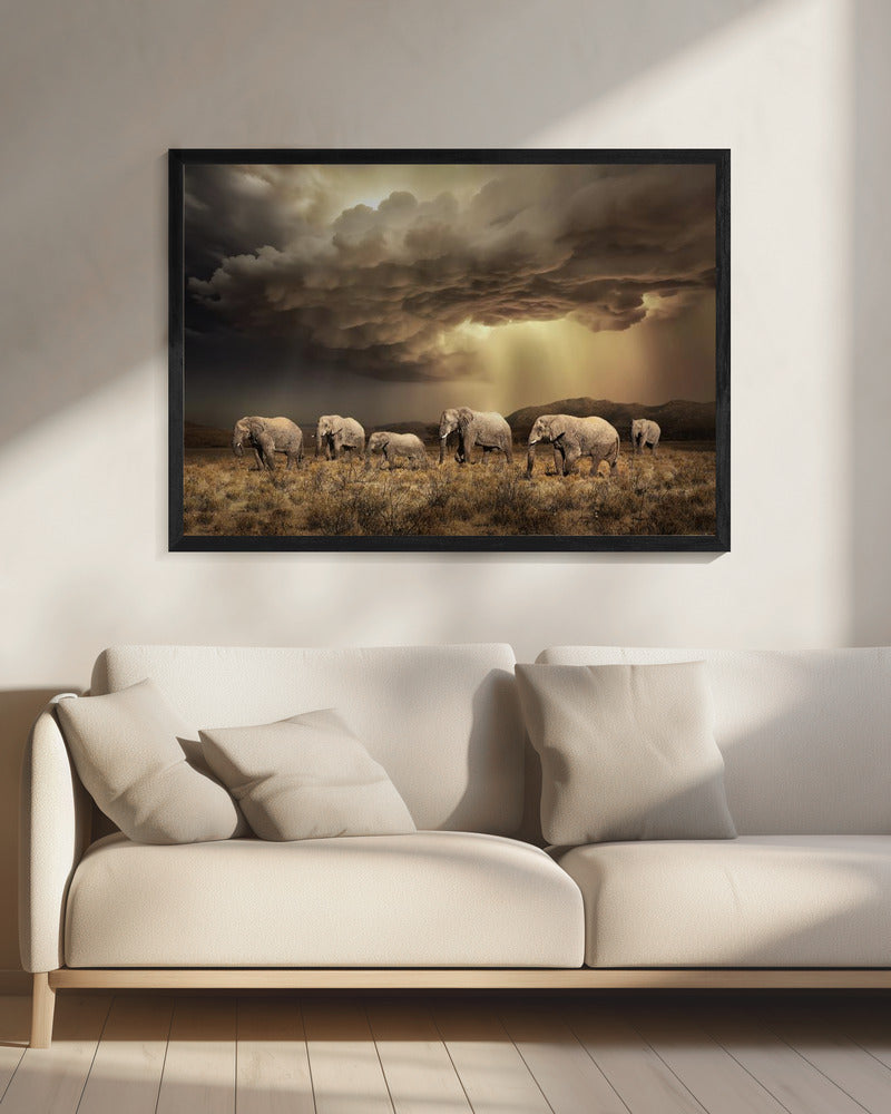 FreeElephants | Leinwand
