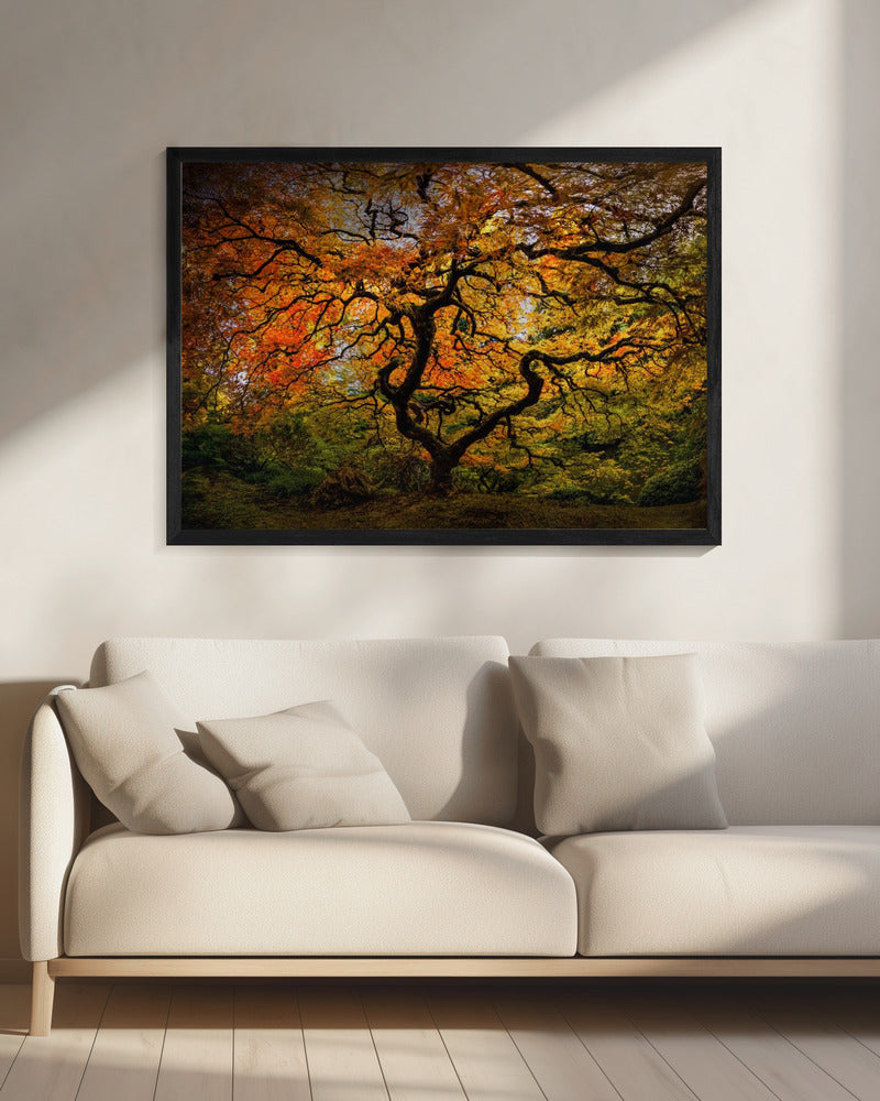Der Ahornbaum | Leinwand