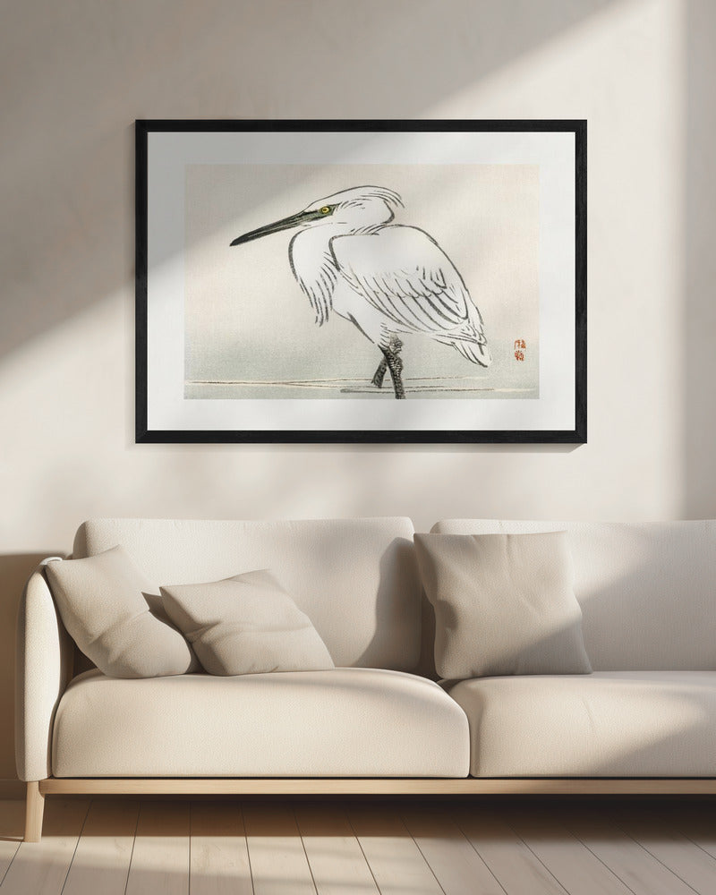 Snowy Egret | Canvas