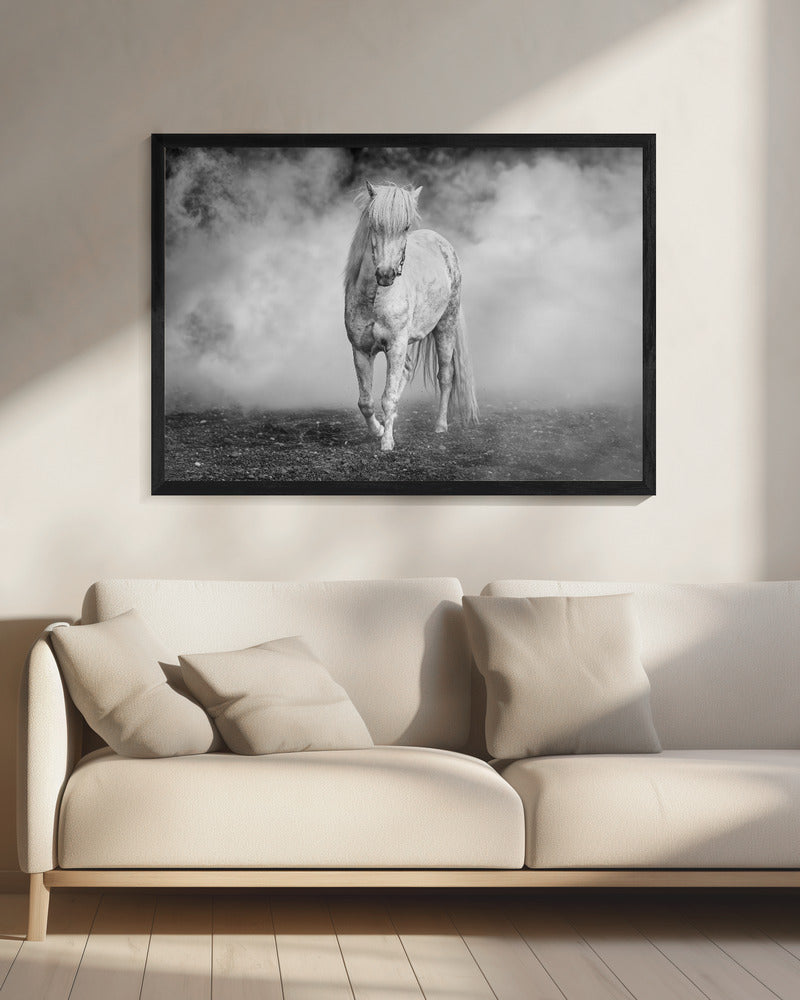 Und da kam ein weißes Pferd | Leinwand