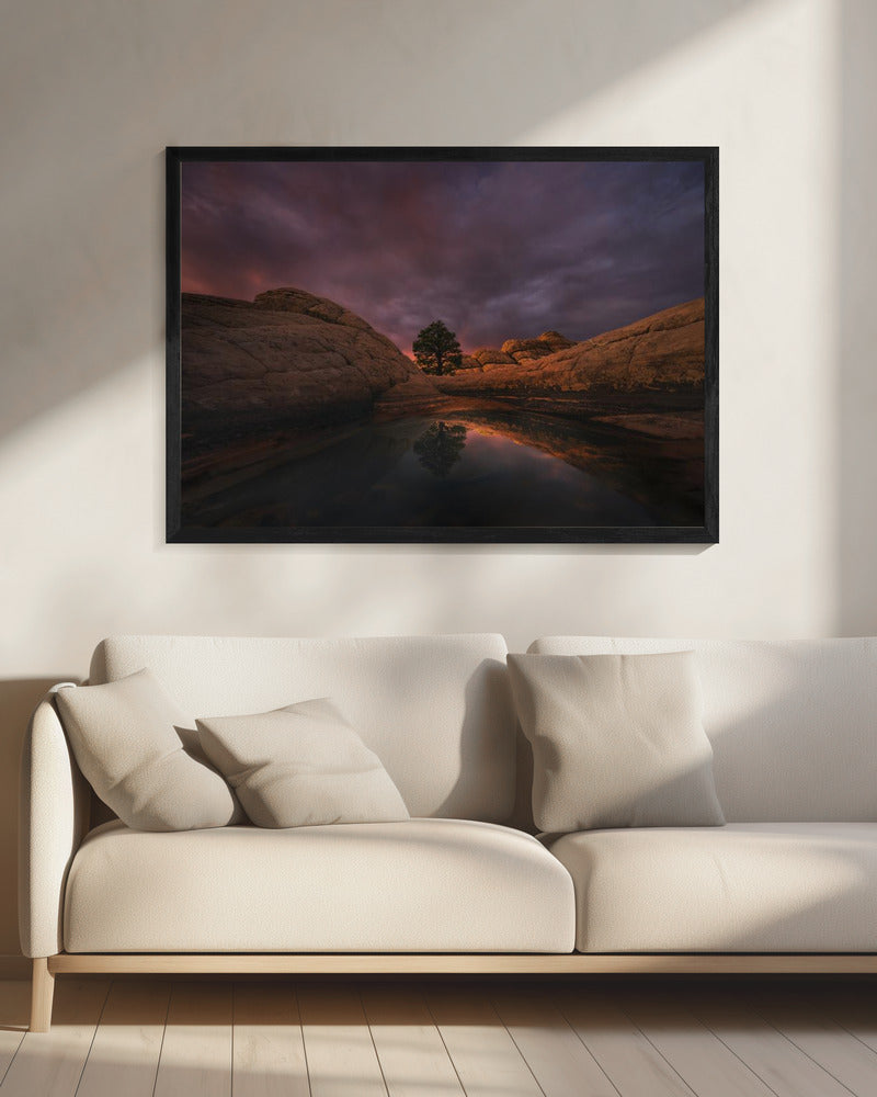 Morgenlicht | Leinwand