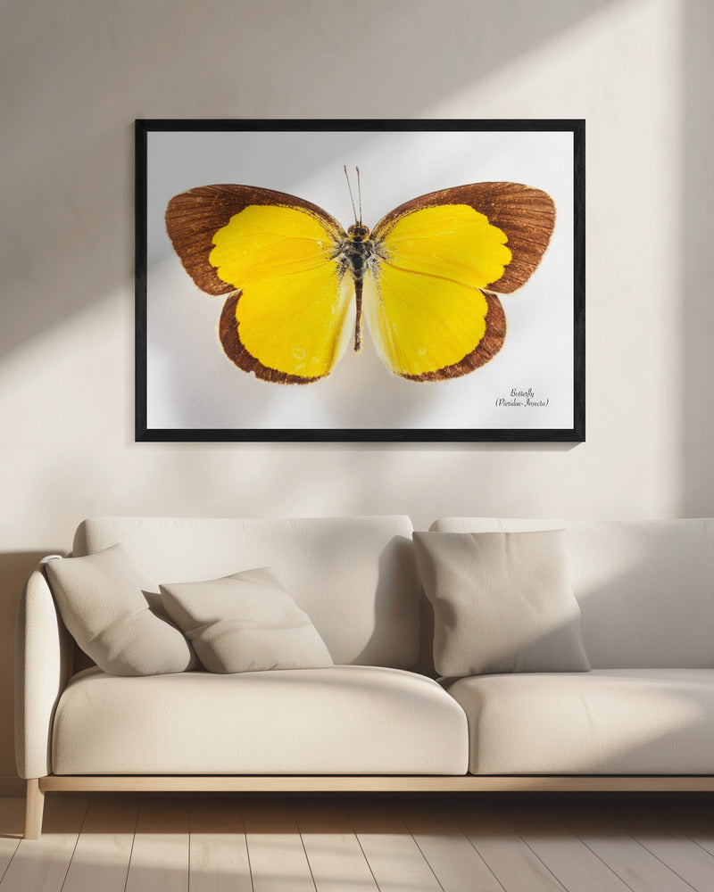 Schmetterling - 2 | Leinwand