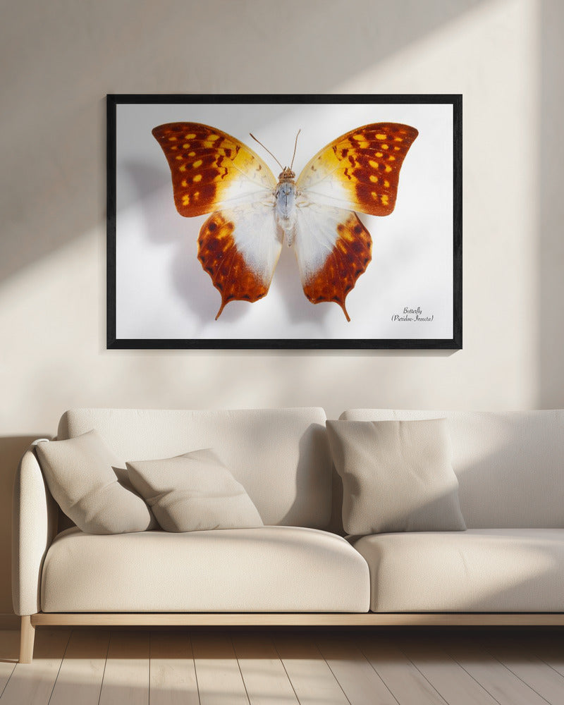 Schmetterling - 4 | Leinwand