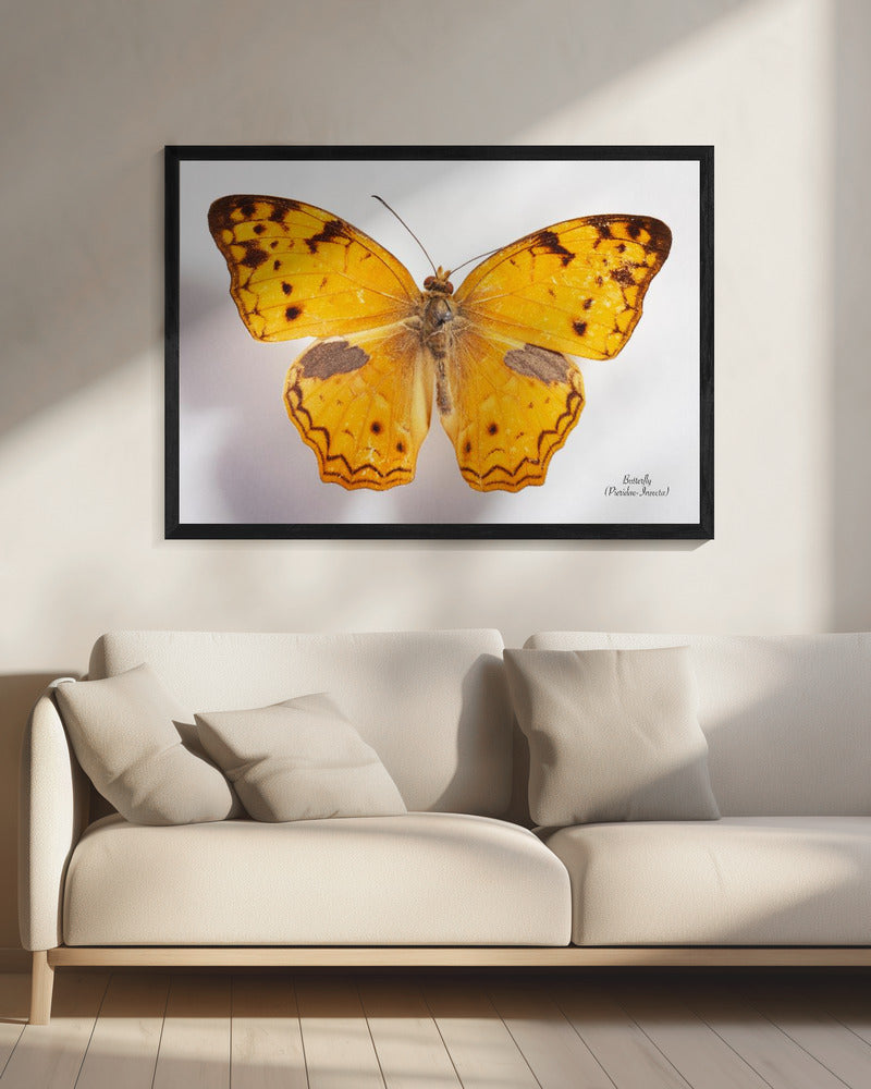 Schmetterling - 10 | Leinwand