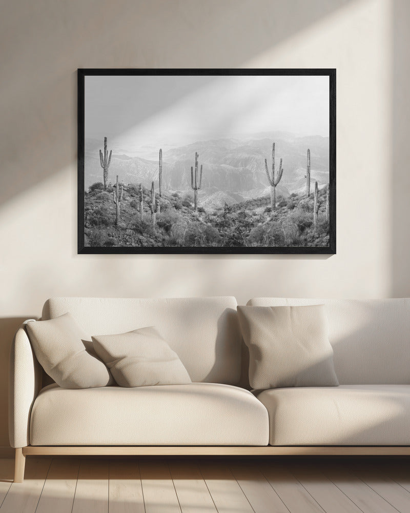 Westlicher Kaktus | Leinwand