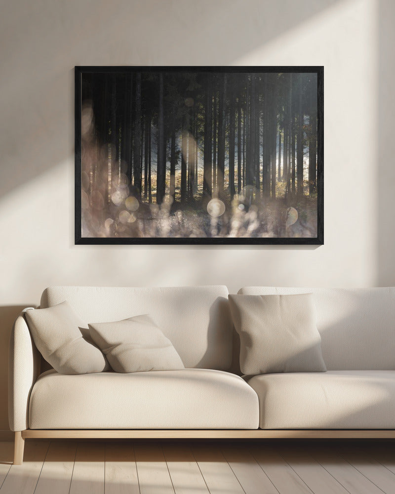 Waldglühen 1 | Leinwand