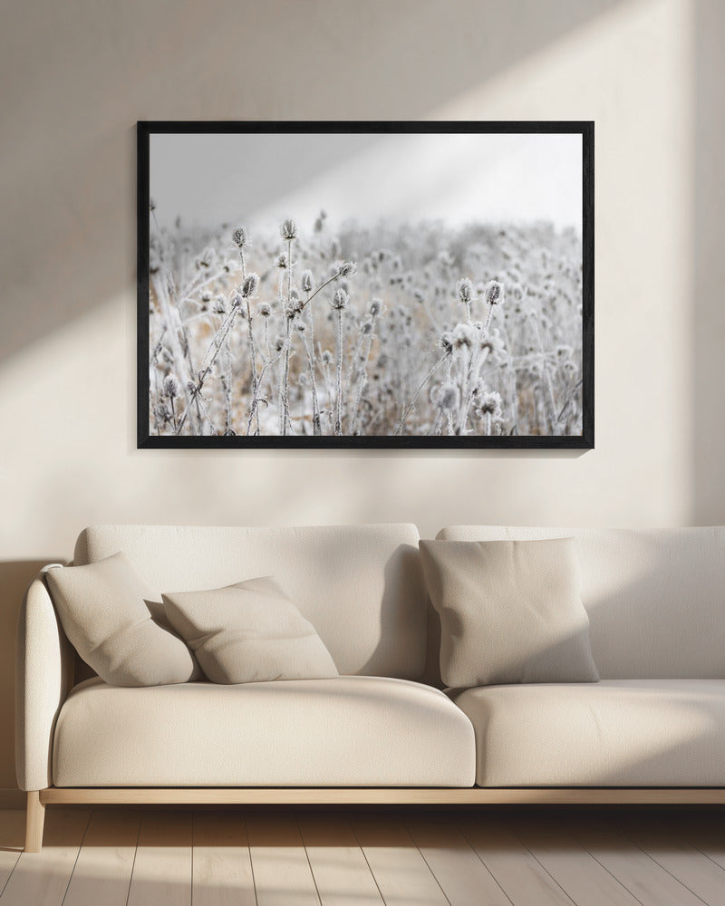 Winterfeld 5 | Leinwand
