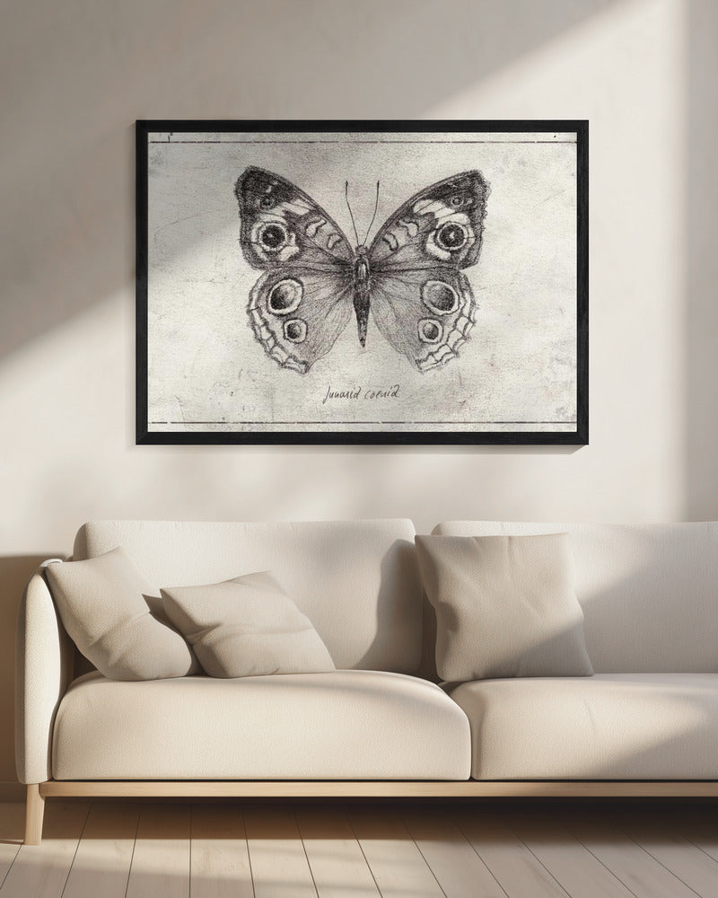 Schmetterling präsentiert komplizierte Flügel | Leinwand