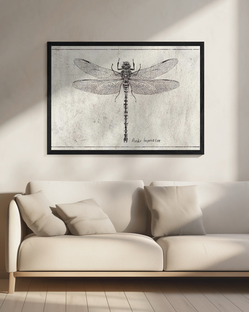 Majestät im Flug Anax Imperator | Leinwand
