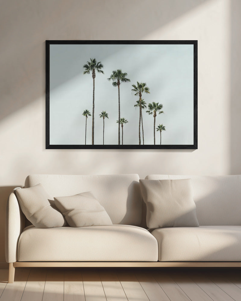 Cali Palms | Leinwand
