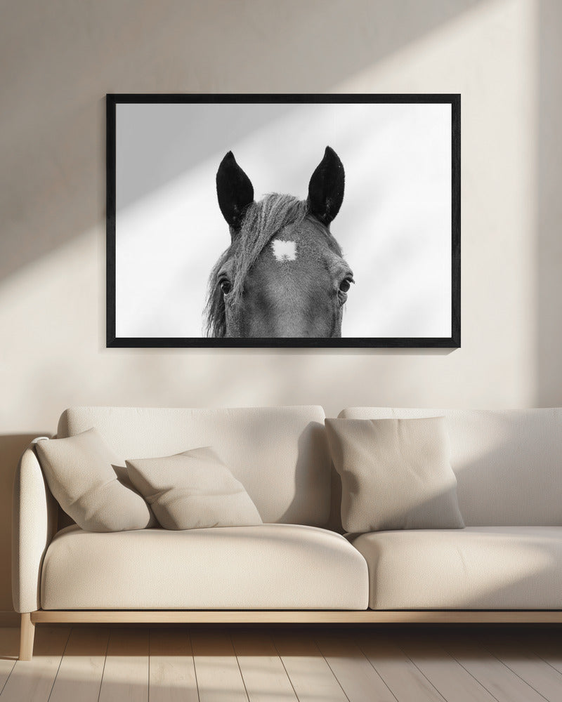 Guckendes Pferd | Leinwand