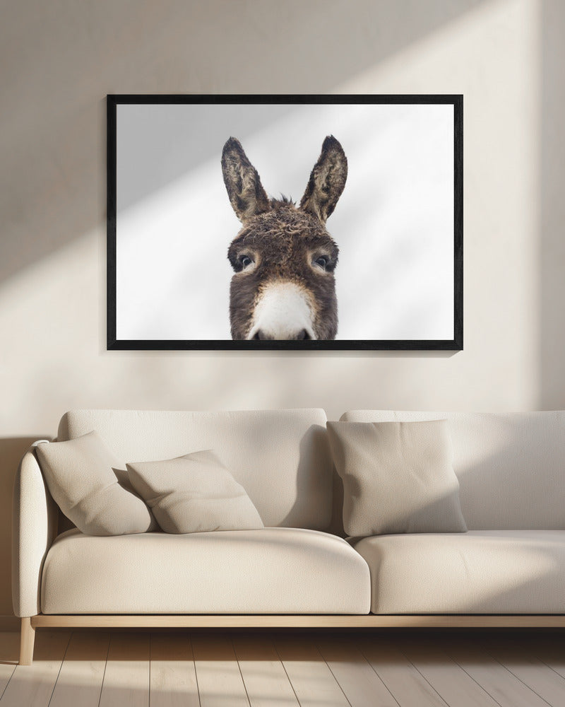 Guckender Esel | Leinwand