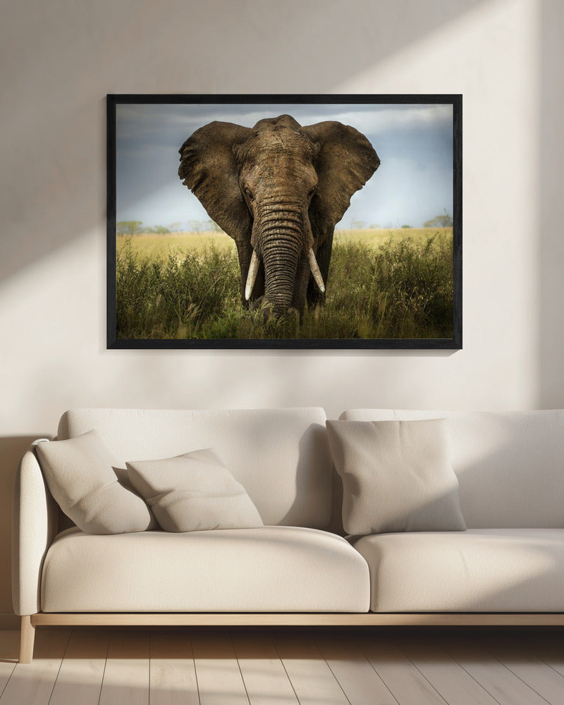 Begegnungen in der Serengeti | Leinwand