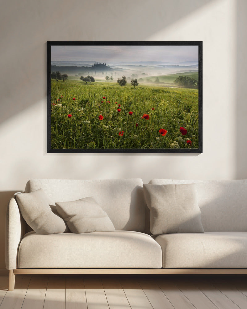 Toskanischer Frühling | Leinwand