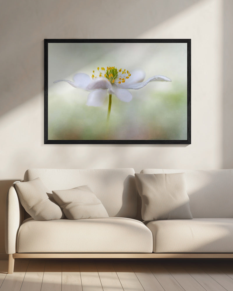 Nemorosa* | Leinwand