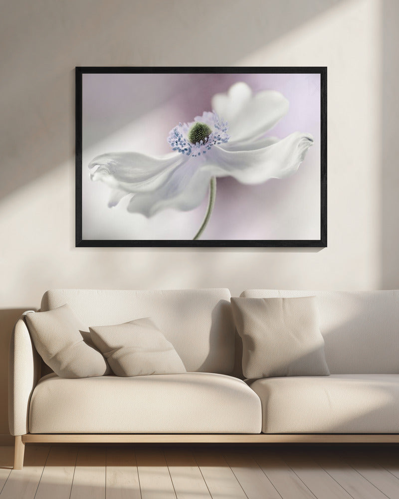Anemonenbrise | Leinwand