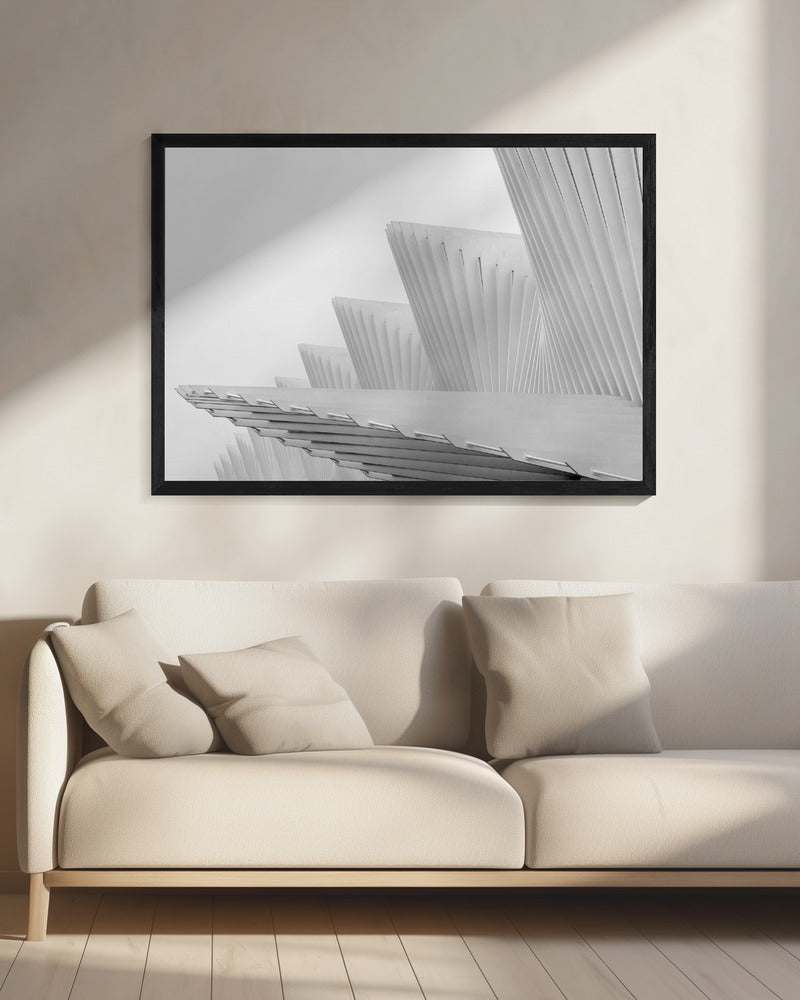 Fly | Canvas