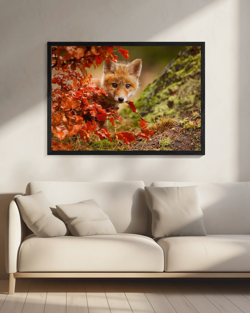 Fuchs | Leinwand