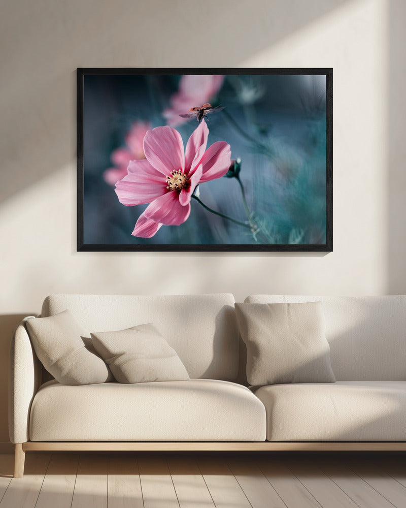 Clair de Terre | Leinwand