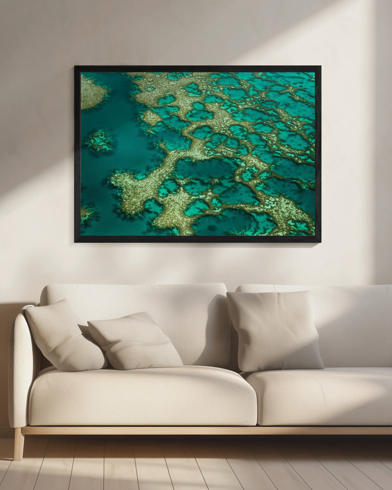 Gondwana | Canvas