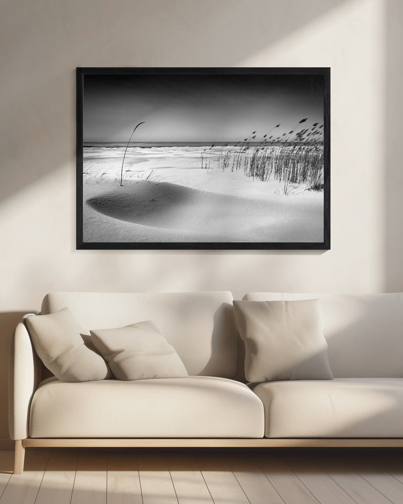 Orchestra | Canvas