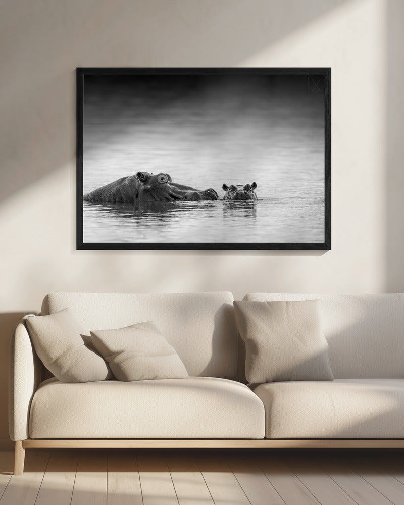 Eye level | Canvas