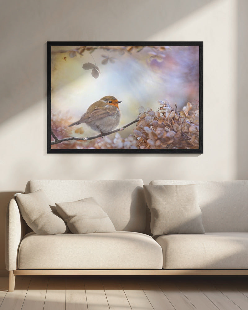 Robin über Träume | Leinwand
