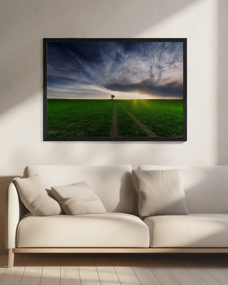 Einzelgänger in der Sonne | Leinwand