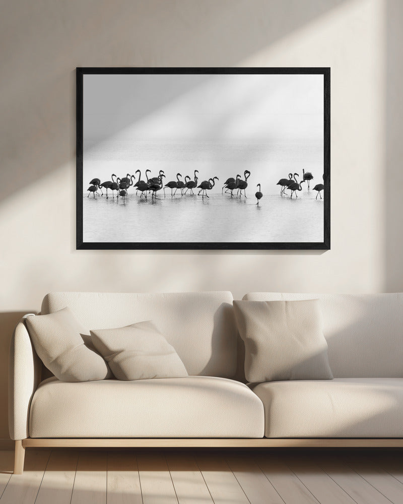 Flamingos | Leinwand