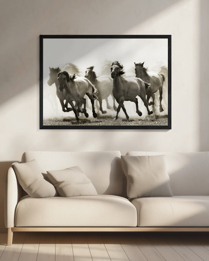 Pferd | Leinwand