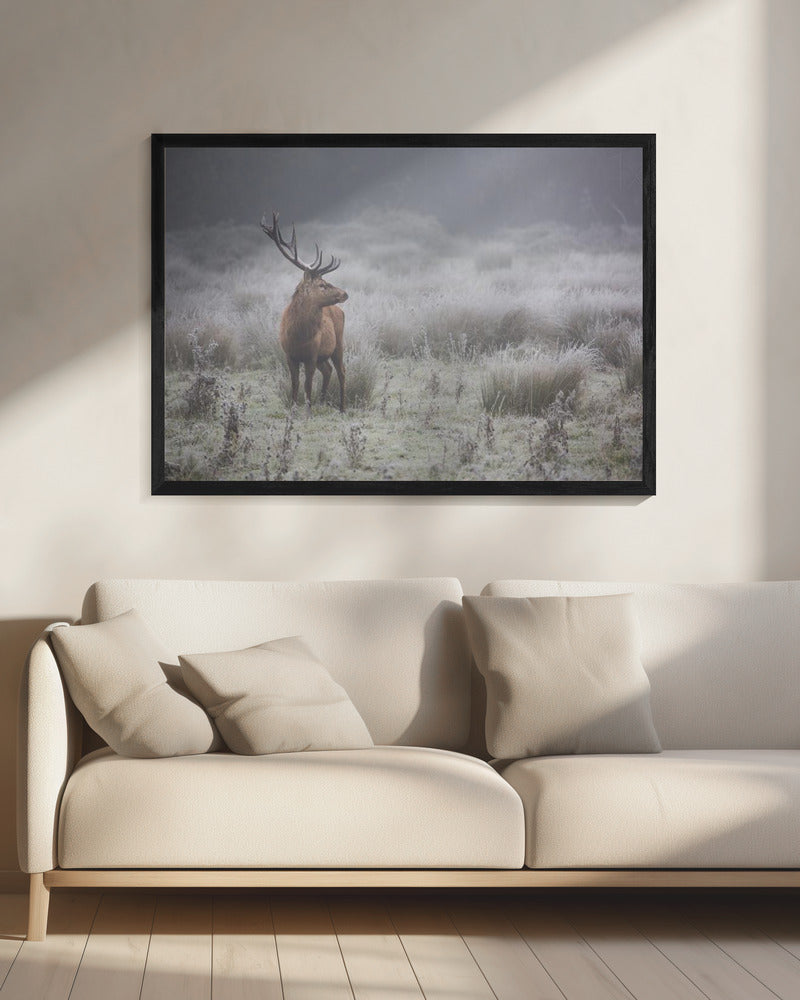 Stolz. Hirsch. | Leinwand