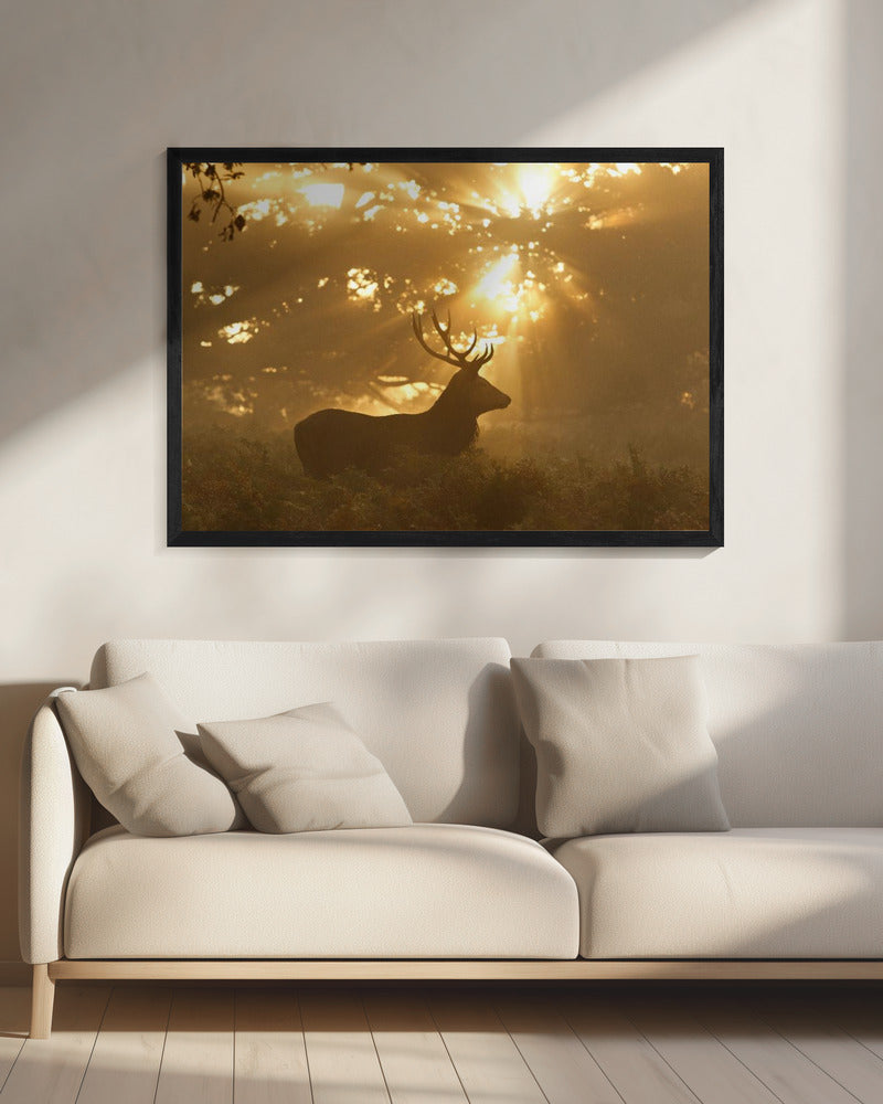 Geist des Waldes | Leinwand