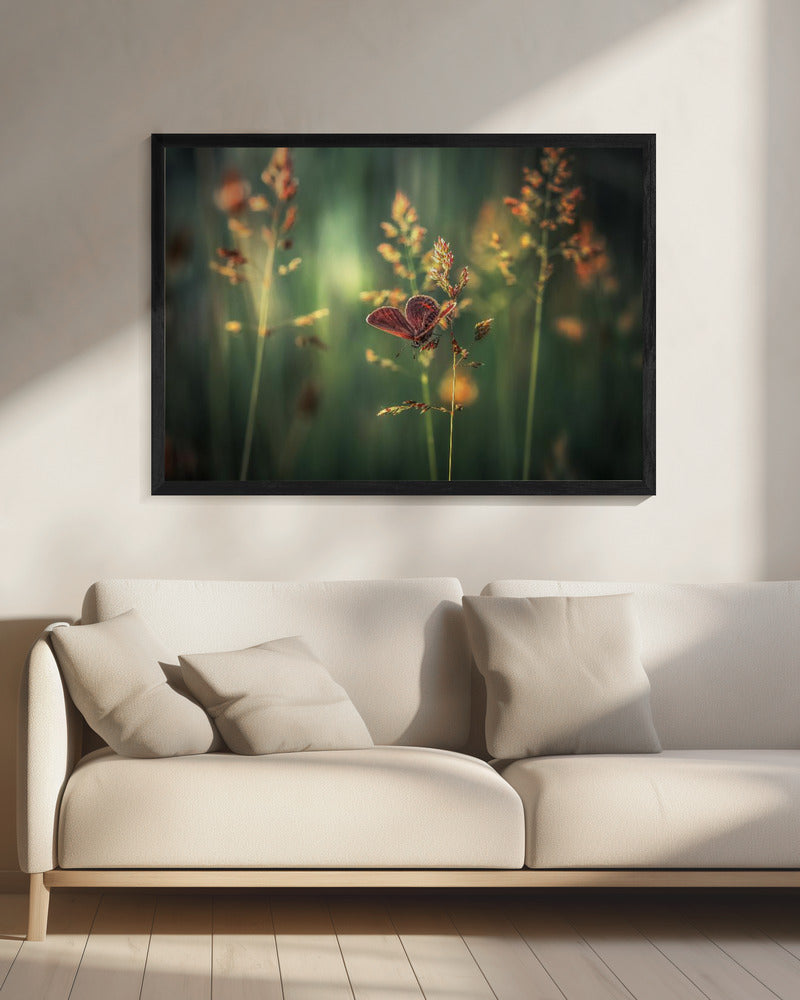 Letztes Licht | Leinwand