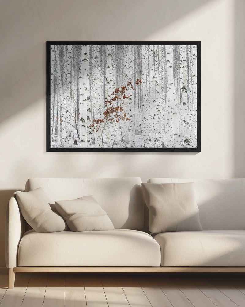 Von Weiß | Leinwand
