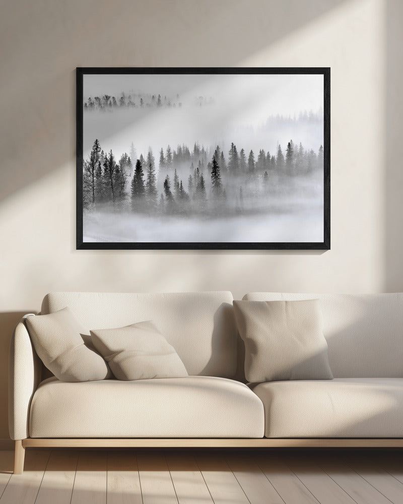 Nebliger Wald | Leinwand