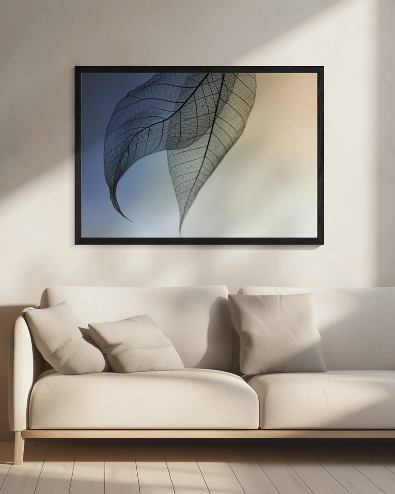 Cavatine | Leinwand